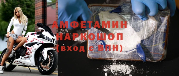 молекула духа Покров