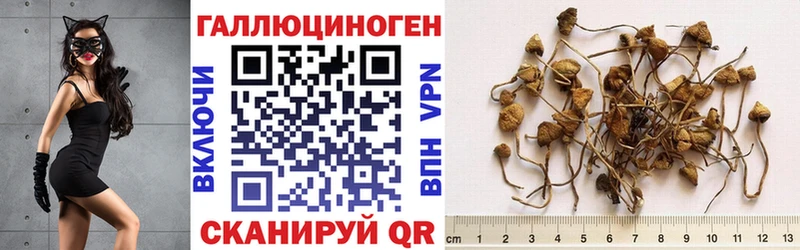 Псилоцибиновые грибы GOLDEN TEACHER  Уварово 