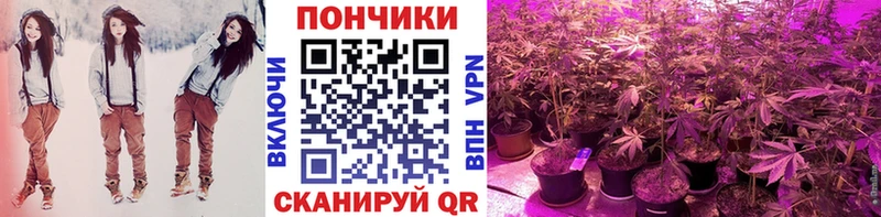 Шишки марихуана план  Уварово 